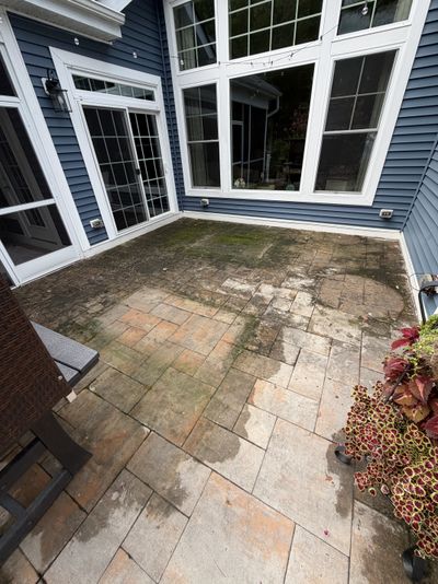 Paver patio heavily covered in dark green algae and moss before cleaning